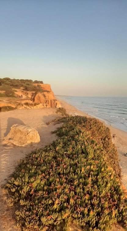 فيلا Alfamar V3 Falesia Beach البوفيرا المظهر الخارجي الصورة